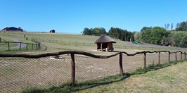 Farmapark Soběhrdy velbloud dvouhrbý