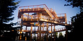 The Pustevny Treetop